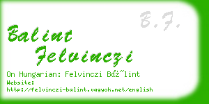 balint felvinczi business card